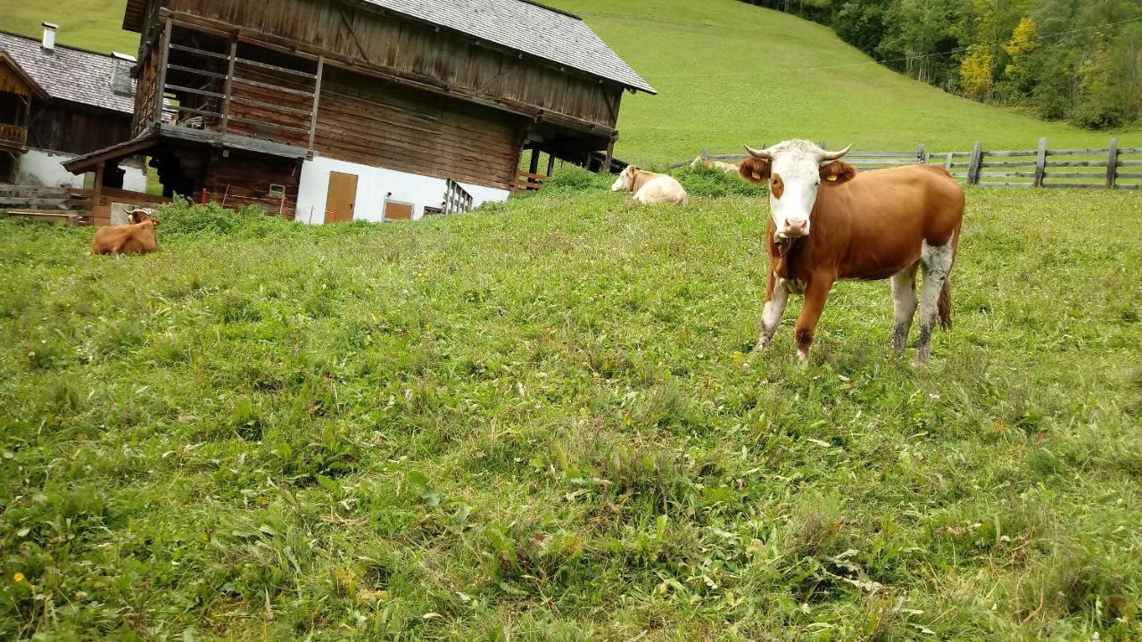Agriturismo La Flu San Martino in Badia Eksteriør billede